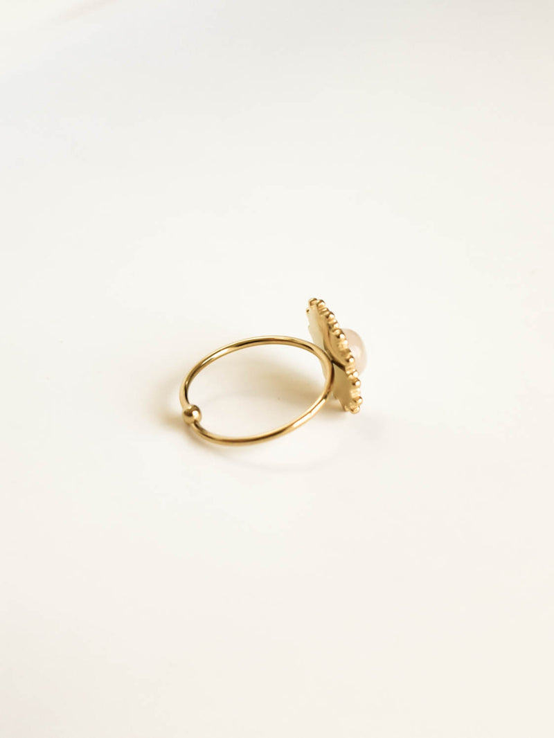 ERINE ring