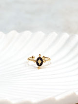 SWAN ring