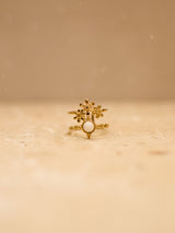 KIRO ring